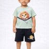 Peekaboo Lion Set (Mint & Black)