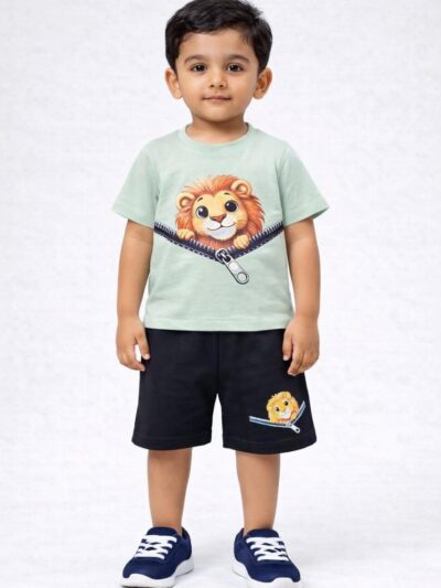 Peekaboo Lion Set (Mint & Black)