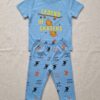 Cotton Knit Half Sleeves Co-ord Night Suit With Skater Print - Blue